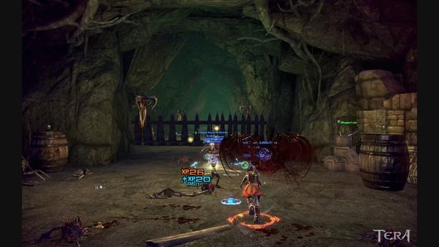 TERA 2013 12 03 22 58 27 89 смотреть онлайн