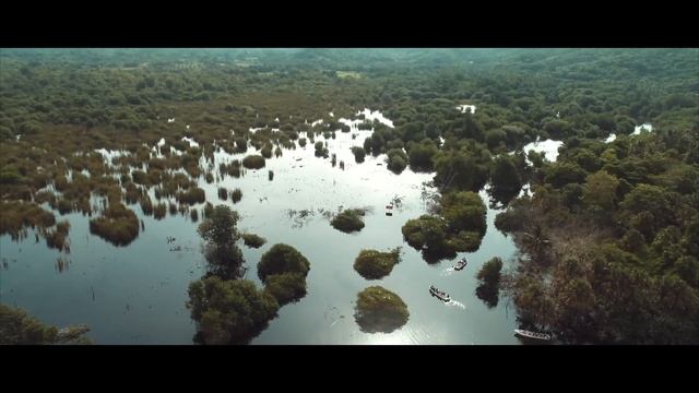 Wild Florida, Orlando (Alligator Swamp Adventure) смотреть онлайн