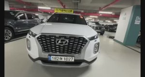 Купили Hyundai Palisade 2021года, дизель 2,2л, 4WD.