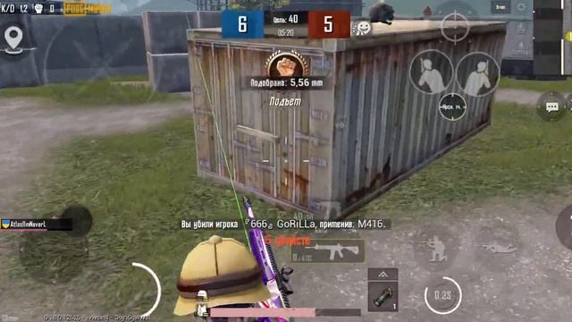 ilm vs gorilla смотреть онлайн