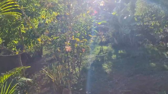 MEU PEQUENO PARAÍSO NA TERRA - Meu recanto смотреть онлайн