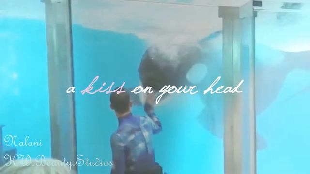 Nalani, Say You Wont Let Go ♥ смотреть онлайн