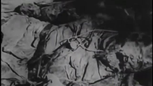 13 aprile 1943 - La scoperta del massacro di Katyn смотреть онлайн