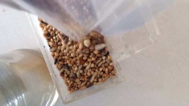 Один день из жизни Кеши. смотреть онлайн