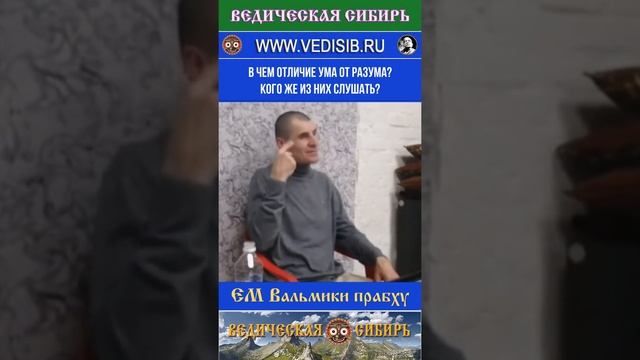 В чем отличие Ума от Разума? Кого же из них слушать?