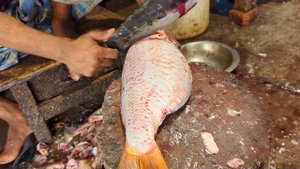 Amazing Giant Golden Carp Fish Cutting Skills In Bangladesh Fish Market By Expert Cutter