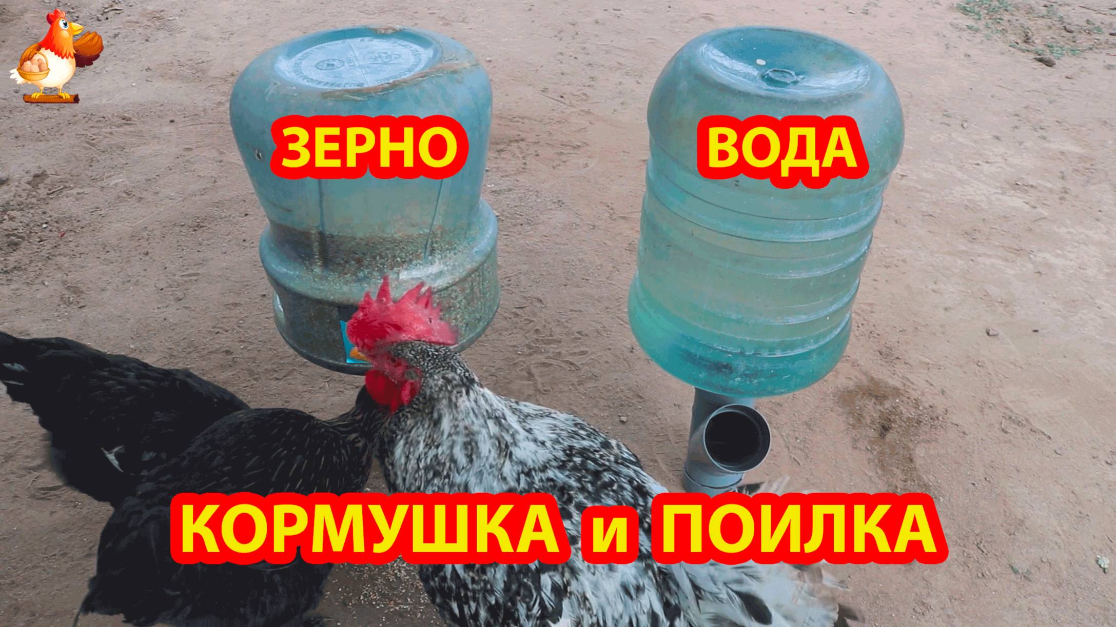 Поилка и кормушка на 20 л курам из бутылей и ПВХ труб понравилось несушкам 🐓💦❣️