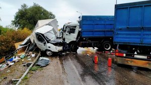 Аварии и ДТП на дорогах ТОРОПЫГИ за рулем