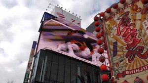 Shinjuku cat — гигантская кошка на Синдзюку в Токио