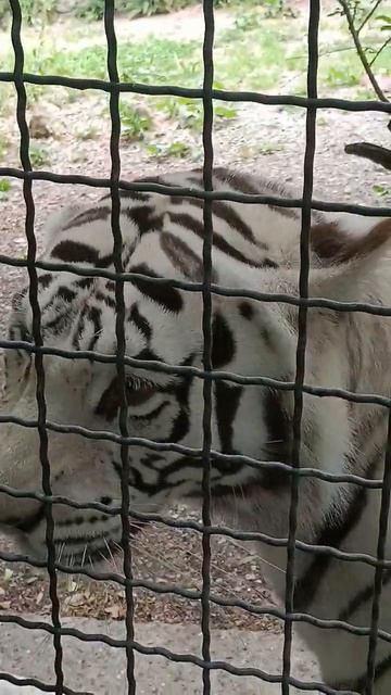 25 июня 2024 г. смотреть онлайн