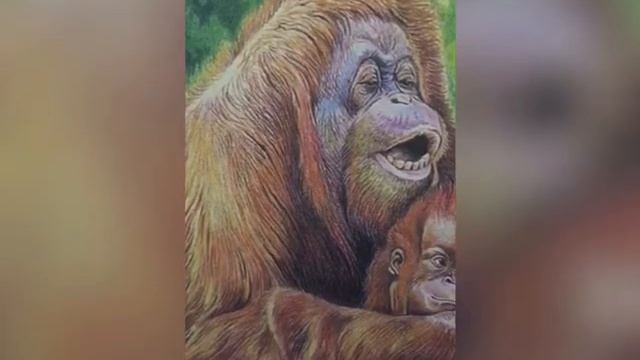 Сафонова О А Мохнатые родственники смотреть онлайн