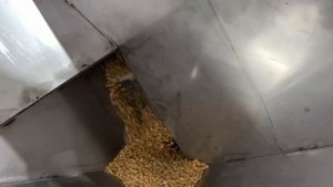 Тросовый транспортер передвижной, для сыпучих продуктов. 
ООО "ЭнергоПищПром"