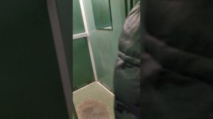 06.02.2025 четв. 17:27 Неизвестная спускается, около почтовых ящиков