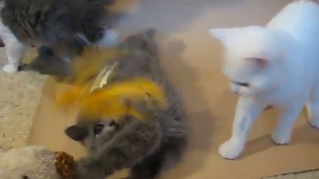 Изображение 041 смотреть онлайн