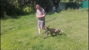 Ханума 4 мес