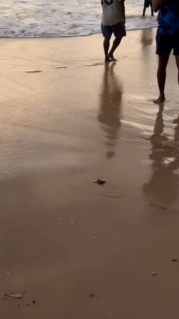 На них хотят посмотреть все.. смотреть онлайн