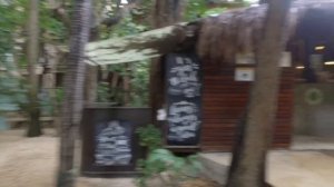 Hotel Tukan en playa del Carmen 2022 trae a tu mascota!