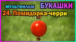 | Мультфильм | БУКАШКИ | 24. Помидорка-черри |