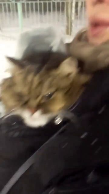 #настоящая женщина#какая должна быть? смотреть онлайн