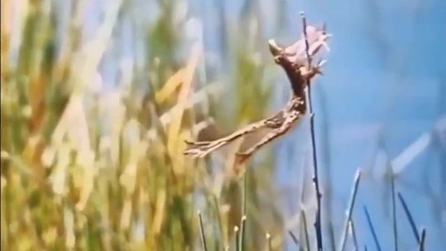 Прыжок веры!!! смотреть онлайн