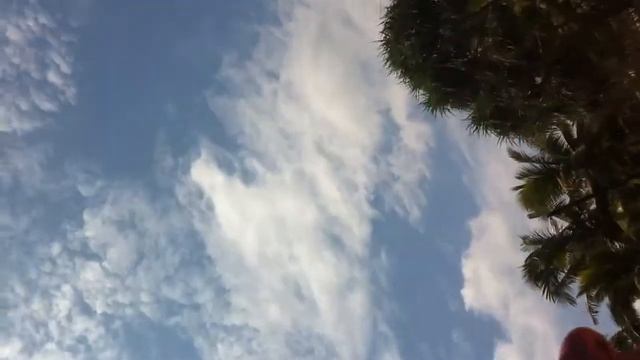 Вон там акула смотреть онлайн