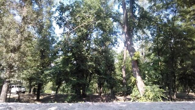 пролетая над гнездом кукушки смотреть онлайн