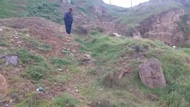 Кабк чанг Кабкора сар додем як ба як кухда Keklik avi Keklik sesi смотреть онлайн