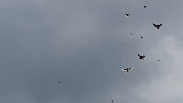 Второй подъём в один день 20 07 2023 г смотреть онлайн