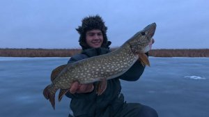 НАКОНЕЦ-ТО Я ЕЁ ПОЙМАЛ! Рыбалка на жерлицы в заливах.