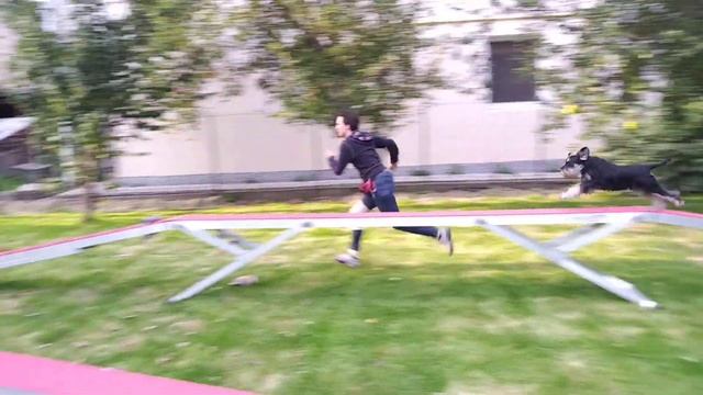 23 августа 2019 г. смотреть онлайн