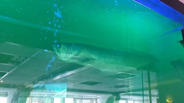 6 июня 2021 г. смотреть онлайн