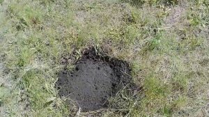 Грядки из поддонов своими руками. Бюджетные грядки. Огород на даче. 3-я серия, 4-й сезон.