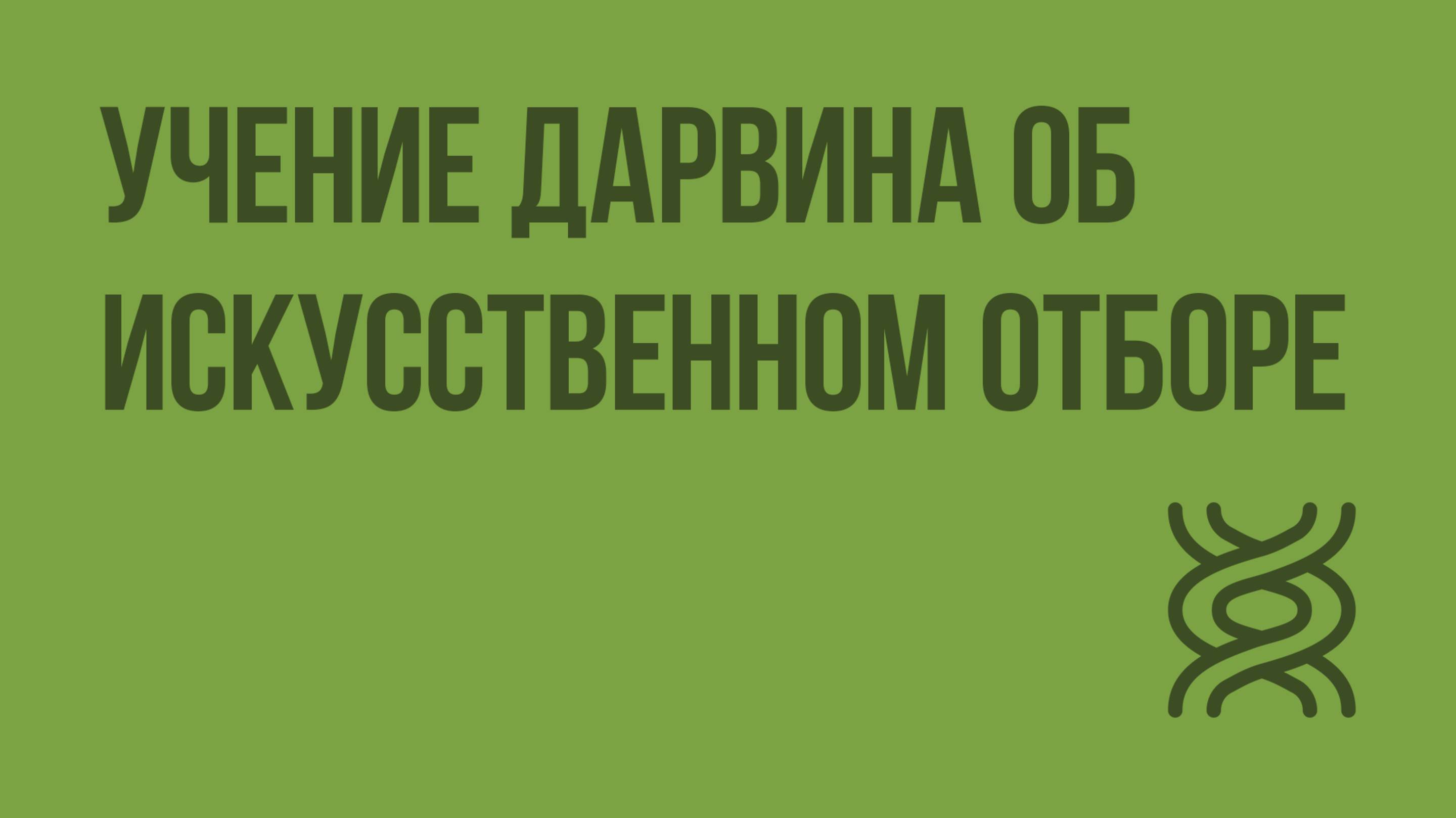 Учение Дарвина об искусственном отборе. Видеоурок по биологии 11 класс