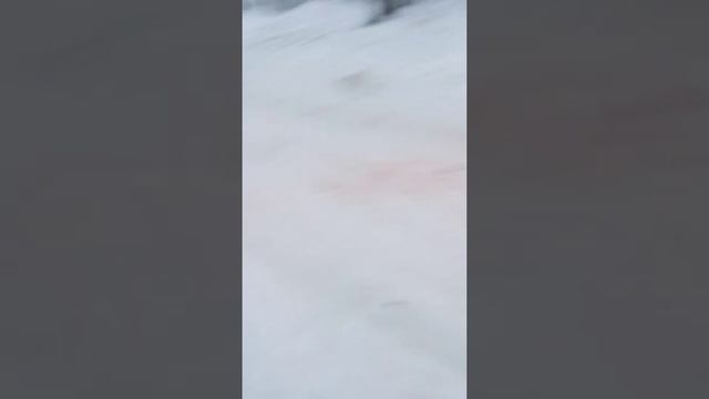 теггинг с роском/tegging with rosk смотреть онлайн