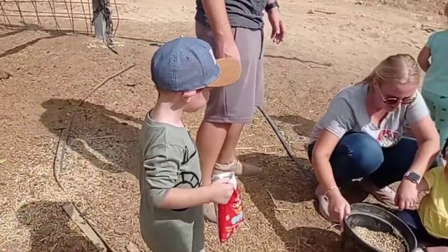 Верблюды в Израиле🐪🐪🐪 смотреть онлайн