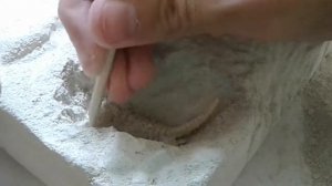 Раскопки  Динозавров