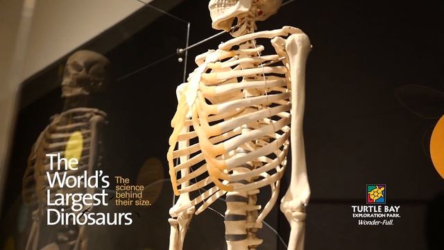 The World's Largest Dinosaurs - Turtle Bay Exploration Park, Redding CA смотреть онлайн