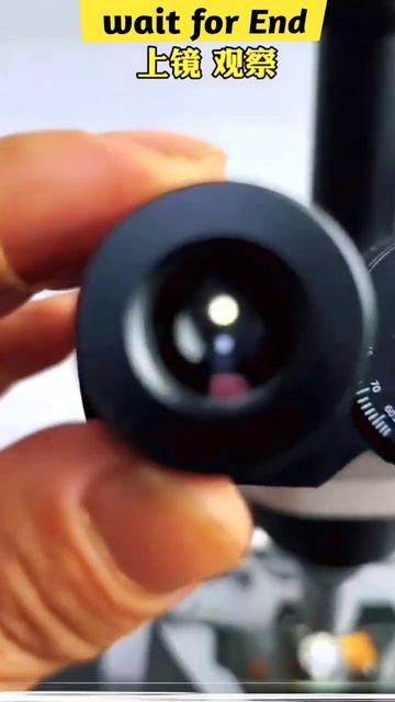 फगर क microscope म दखन पर finger under the microscope shortsb viralshorts youtubeshort