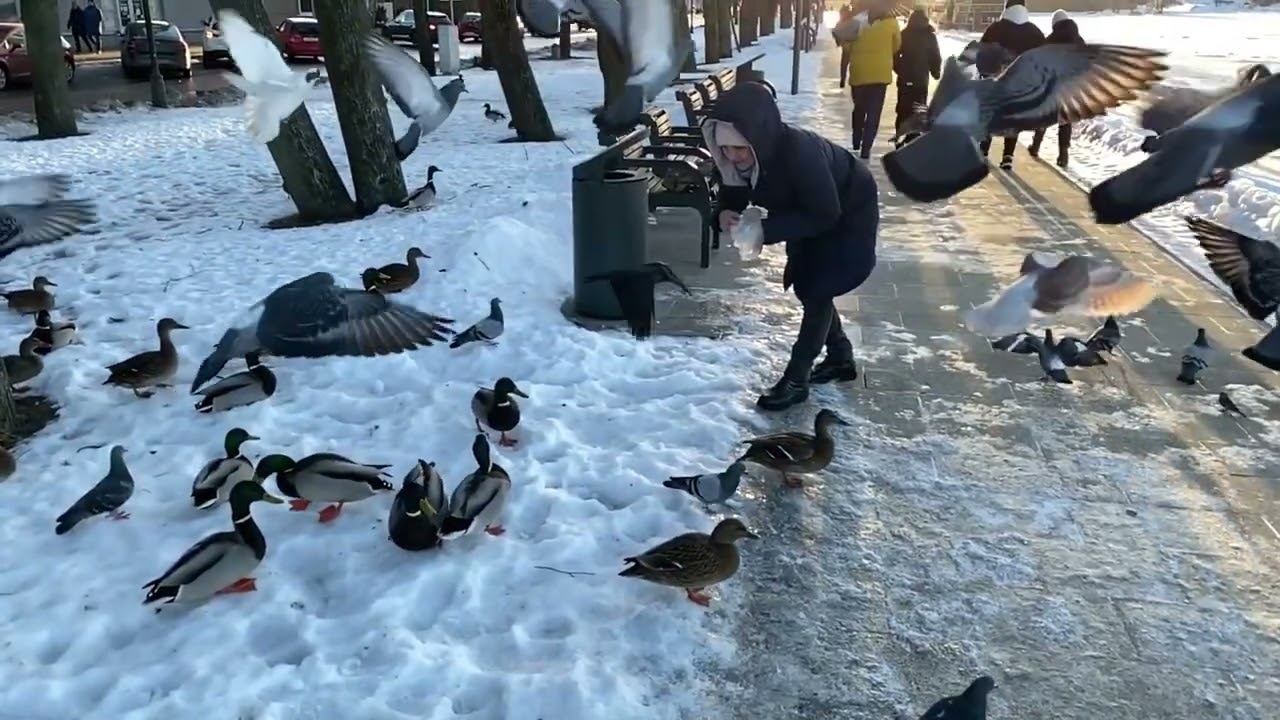 21 декабря в Великом Новгороде смотреть онлайн