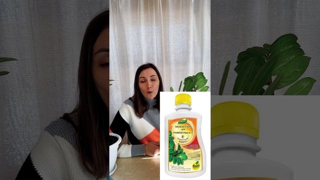 Удобряем замиокулькас