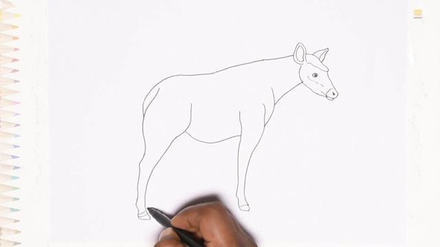 Okapi drawings | forest giraffe drawing | How to draw Okapi step by step | Forest animal drawings смотреть онлайн