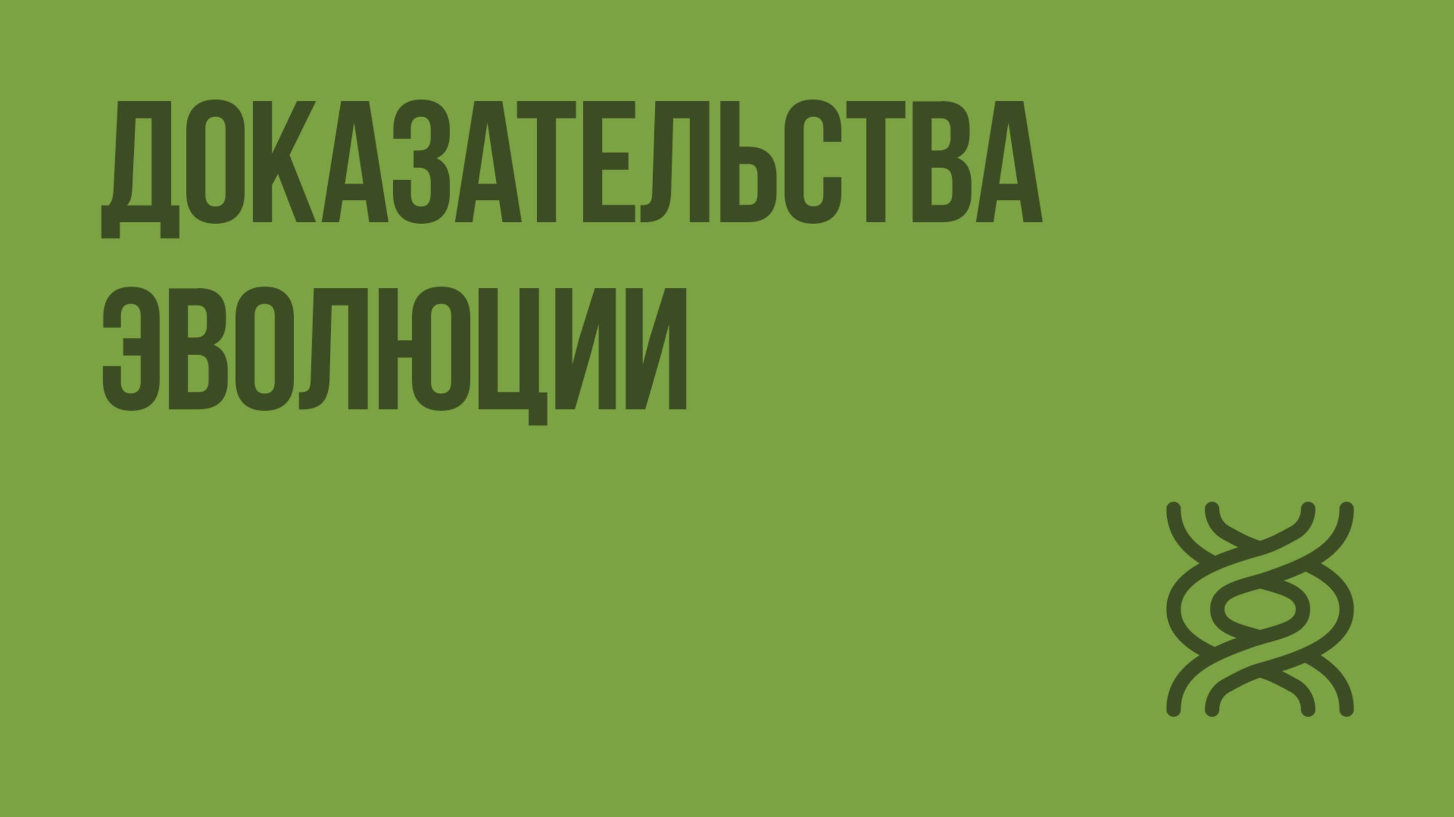 Доказательства эволюции. Видеоурок по биологии 11 класс