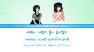 Davichi(다비치) - Turtle(거북이) Color Coded Lyrics (Han/Rom/Eng)