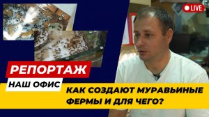 КАК СОЗДАЮТ МУРАВЬИНЫЕ ФЕРМЫ И ДЛЯ ЧЕГО ОНИ НУЖНЫ ?