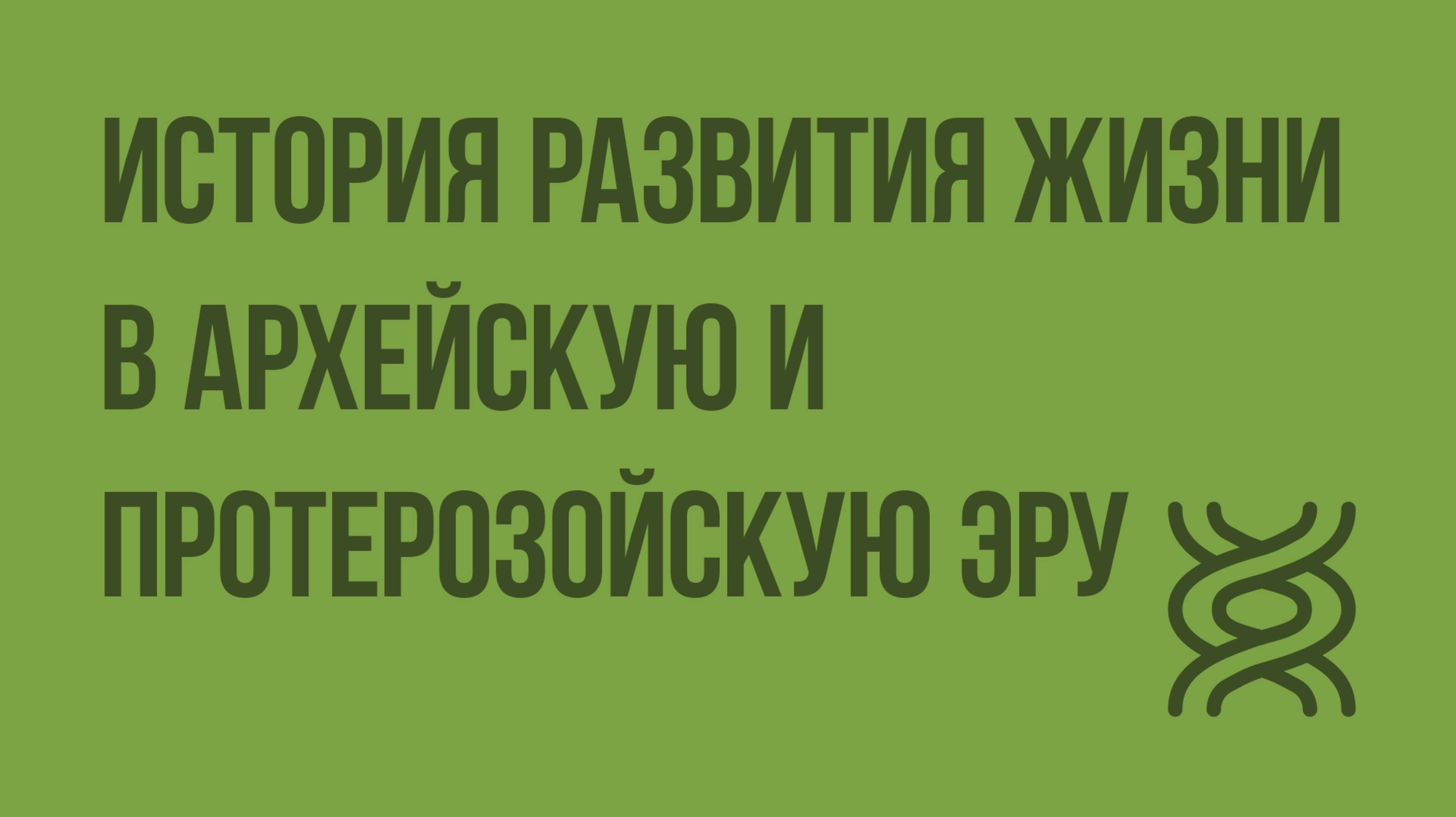 История развития жизни в архейскую и протерозойскую эру. Видеоурок по биологии 11 класс