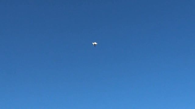 высоколётные голуби 160 смотреть онлайн