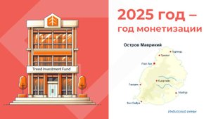 Презентация Treed Investment Fund - Вадим Комаров