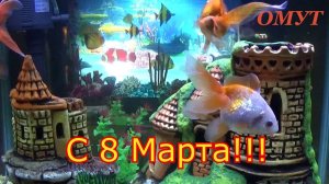 263. С 8 МАРТА - МОИ ЛЮБИМКИ РОДНЫЕ !!! И НАКАЖЕМ ЗЛЫХ ЛЮДЕЙ...