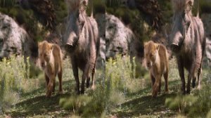 3D Clip: Hakuna Matata (Song) • The Lion King • 5.1 Audio