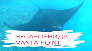 Бали: остров Нуса Пенида, морская прогулка и плавание с Мантами
